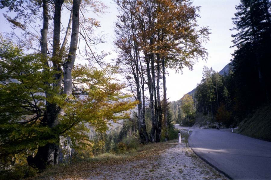 Straße im Namloser Tal