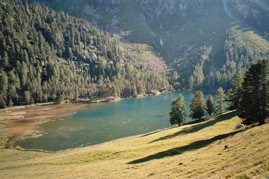 Albula's t�rkise Seen