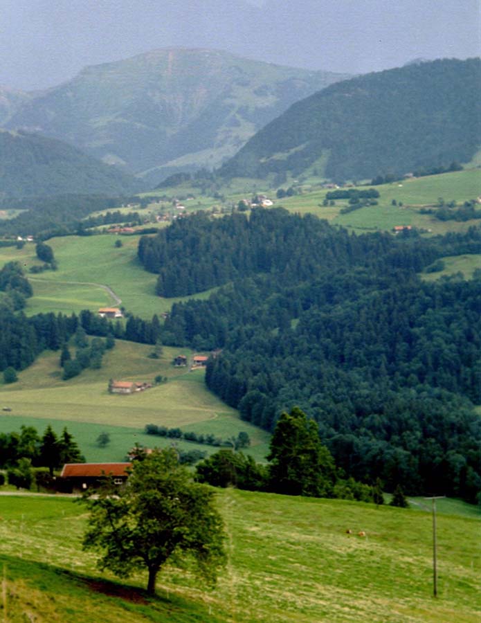 Blick ins Allg�u bei Oberstaufen