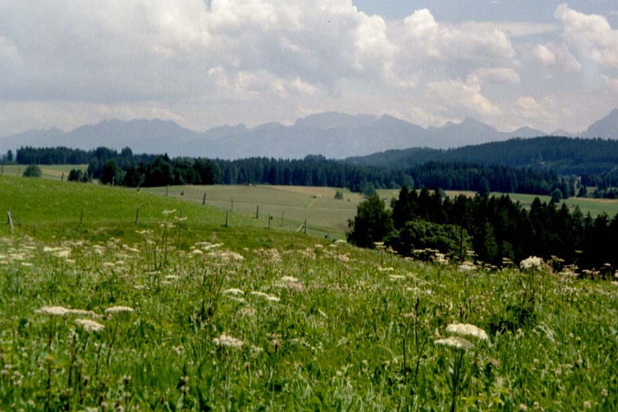 Beschauliche L�ndlichkeit im Pfaffenwinkel