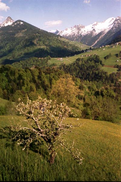 Im gro�en Walsertal